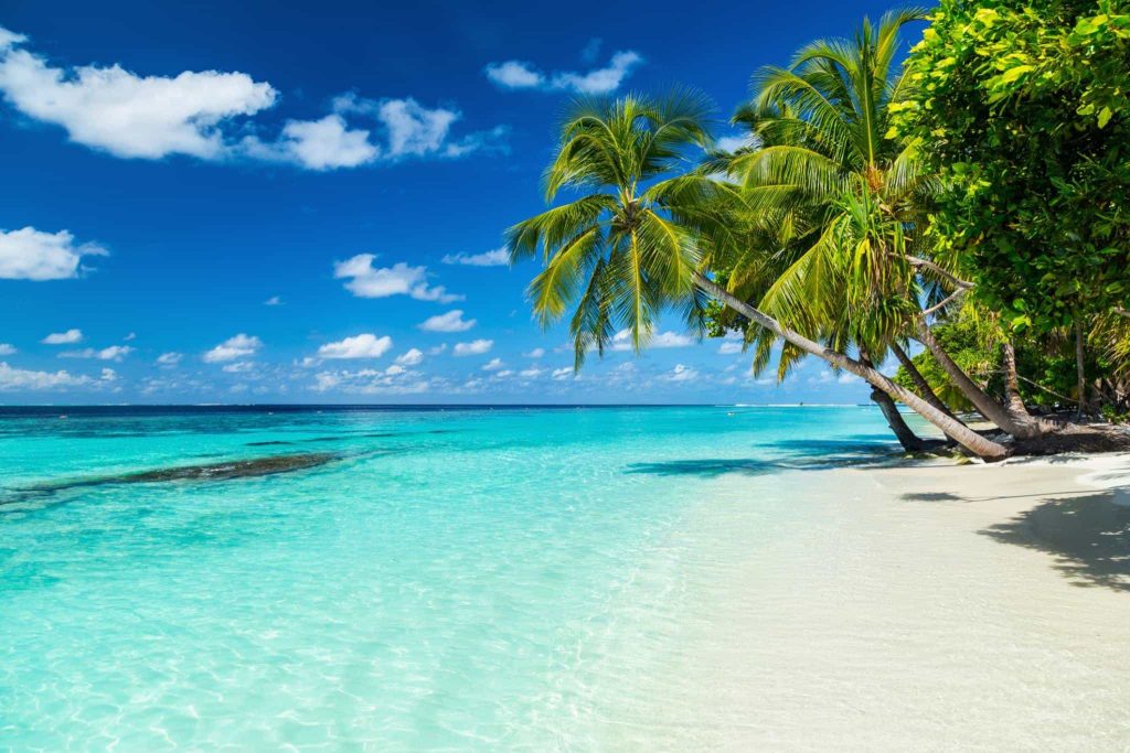 Maldive