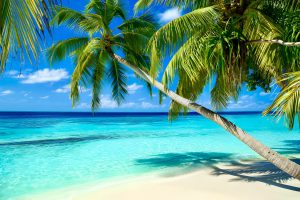 Maldive