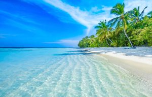 Maldive