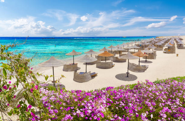 Vacanță ieftină în SHARM EL-SHEIKH, EGIPT 280€ zbor și cazare 🔥ALL INCLUSIVE🔥 7 zile