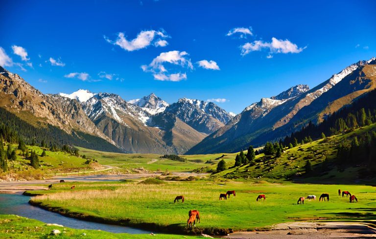 NOU🎉 Zboruri de vară în KÂRGÂZSTAN 348€ dus-întors